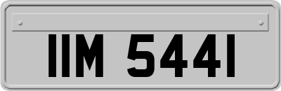 IIM5441