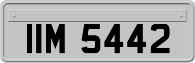 IIM5442