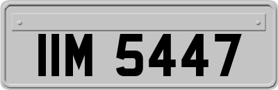 IIM5447