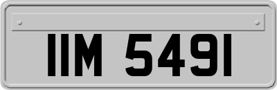 IIM5491