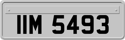 IIM5493