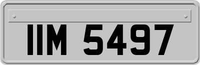 IIM5497