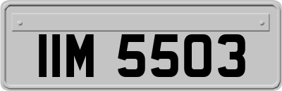 IIM5503