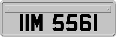 IIM5561