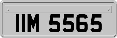 IIM5565
