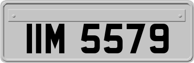 IIM5579