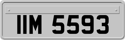 IIM5593