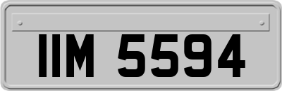 IIM5594