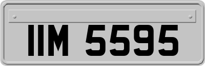 IIM5595