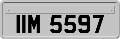 IIM5597