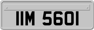 IIM5601