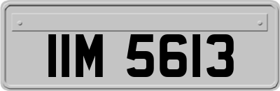 IIM5613