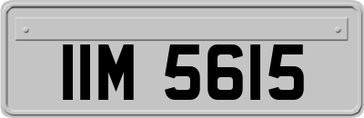 IIM5615