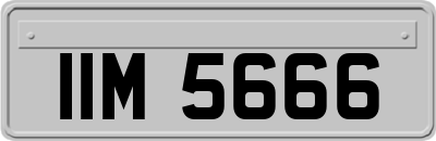 IIM5666
