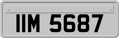 IIM5687