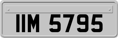 IIM5795