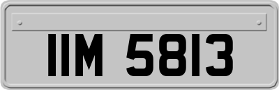 IIM5813