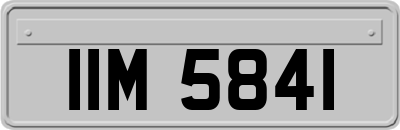 IIM5841