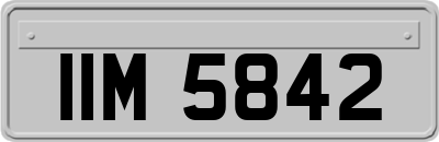 IIM5842