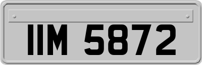 IIM5872