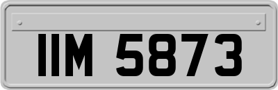 IIM5873