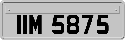 IIM5875