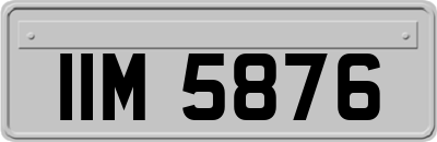 IIM5876
