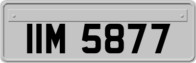 IIM5877