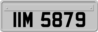 IIM5879