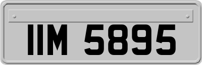 IIM5895