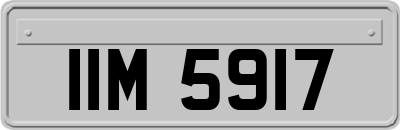 IIM5917
