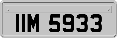 IIM5933