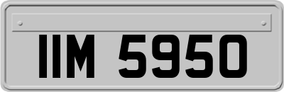 IIM5950