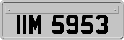 IIM5953