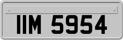 IIM5954