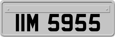 IIM5955