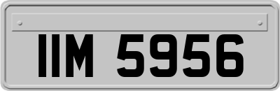 IIM5956