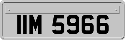 IIM5966