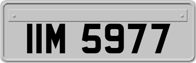 IIM5977