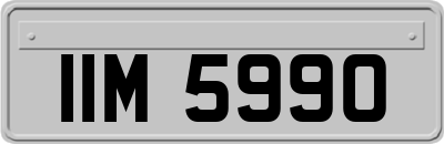 IIM5990