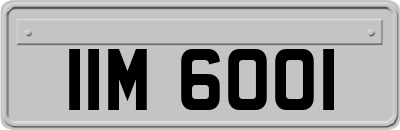 IIM6001