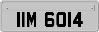 IIM6014