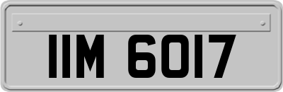 IIM6017