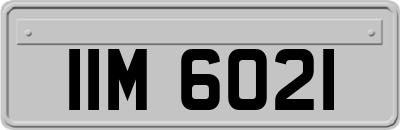 IIM6021