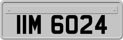 IIM6024