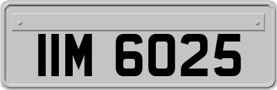 IIM6025