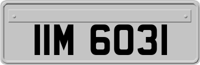 IIM6031