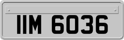 IIM6036