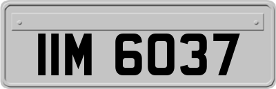 IIM6037
