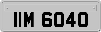 IIM6040